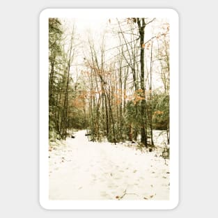Winter Walk on Film Sticker